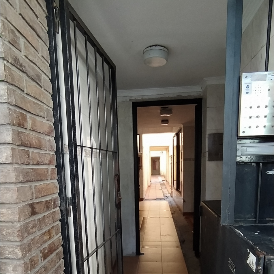 MONO EN BARRIO MARTIN
