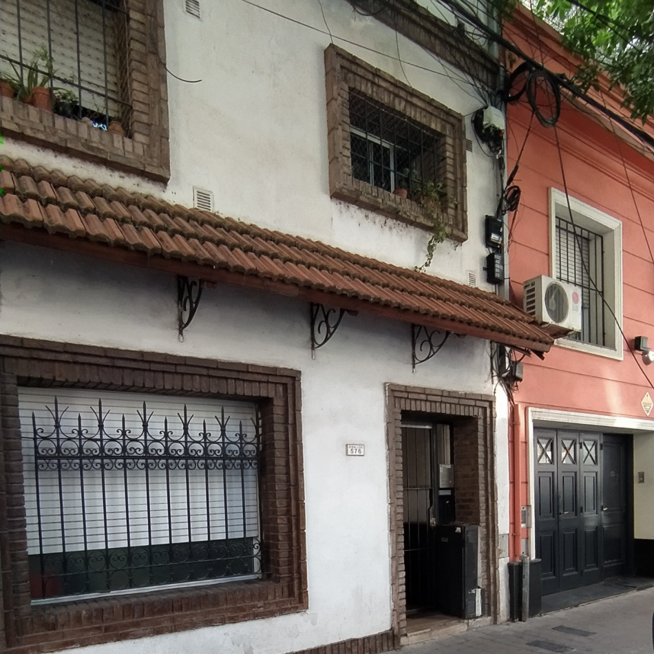 MONO EN BARRIO MARTIN