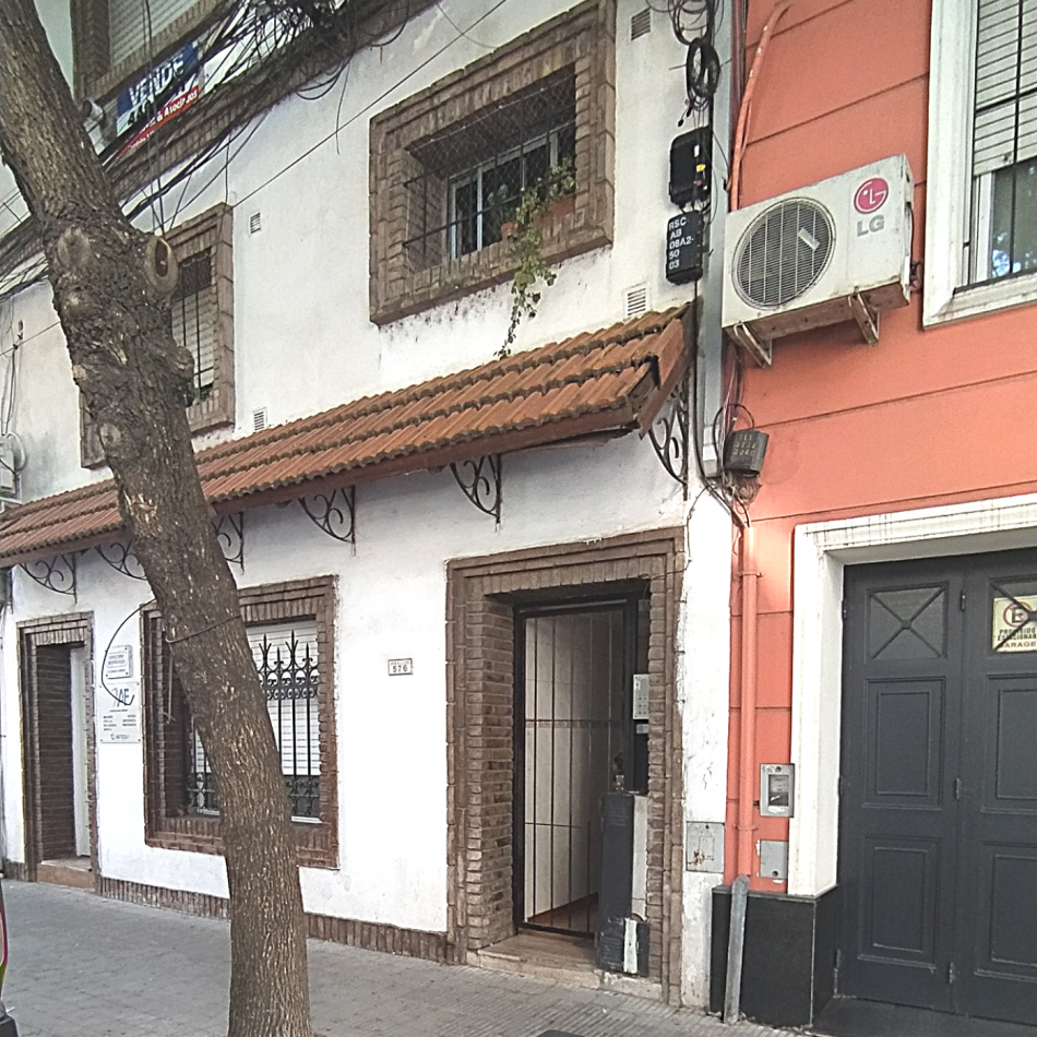 MONO EN BARRIO MARTIN