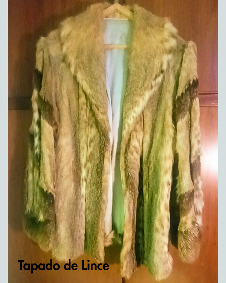 SUBASTA INDUMENTARIA 